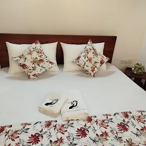 https://elzangi.kandyhotelsnow.com