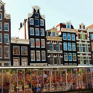 Of The Amsterdam